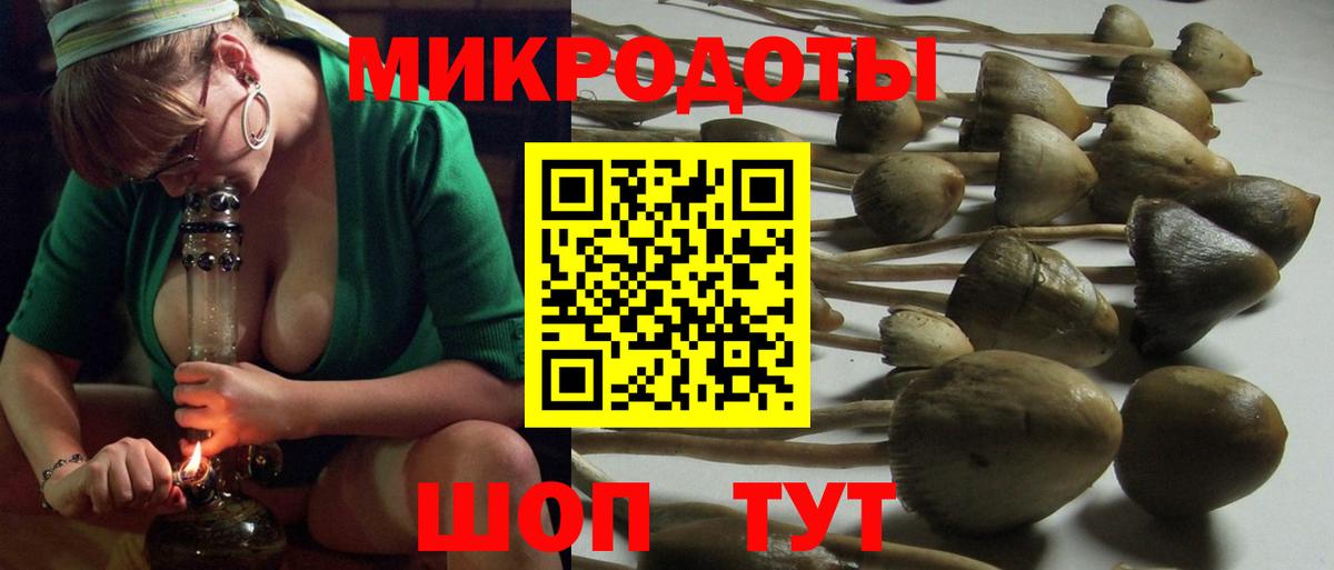 Псилоцибиновые грибы ЛСД  Вход с VPN  Северобайкальск 