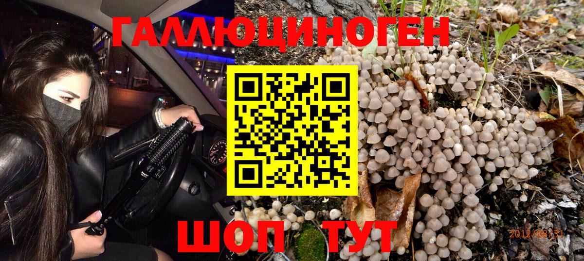 Псилоцибиновые грибы мицелий Северобайкальск